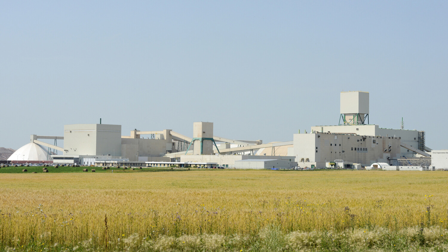 Site landscape